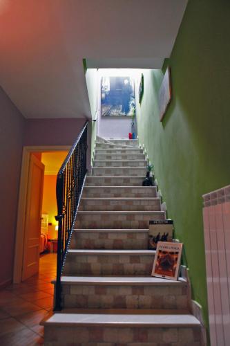 56049090.jpg