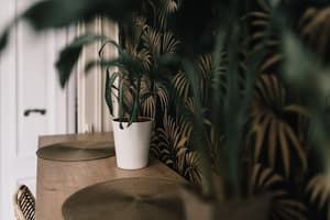 thumbnail: Interior detail