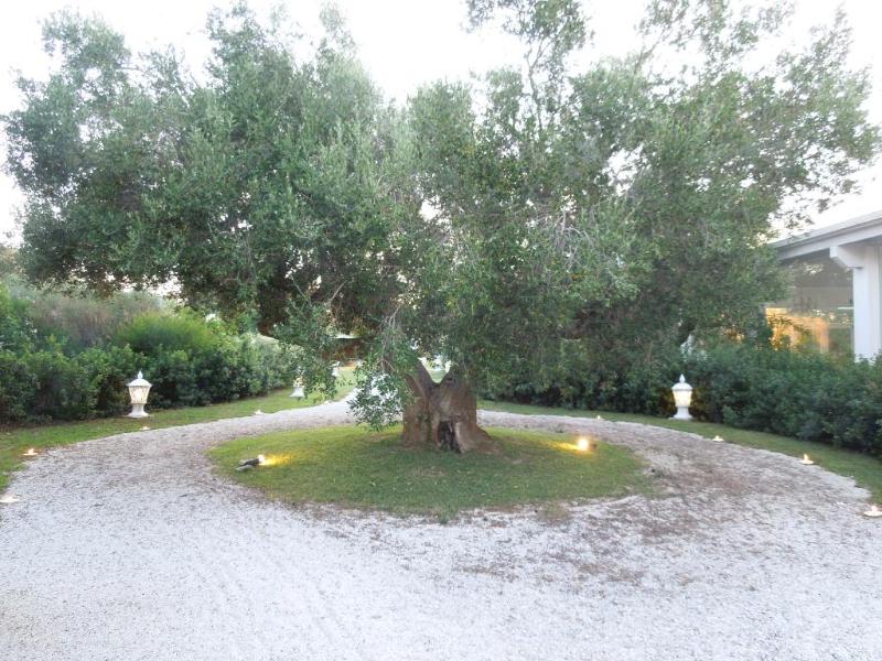 General view