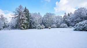 thumbnail: Land view from property