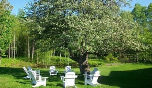 thumbnail: General view