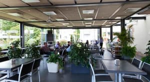 thumbnail: Terrace/patio