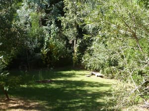 thumbnail: Property grounds