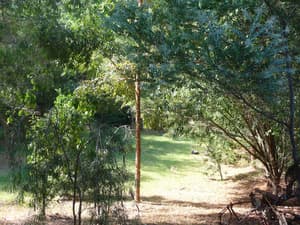 thumbnail: Property grounds