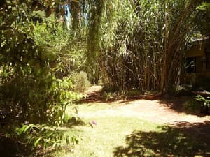 thumbnail: Property grounds