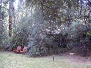thumbnail: Property grounds