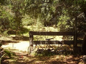 thumbnail: Property grounds
