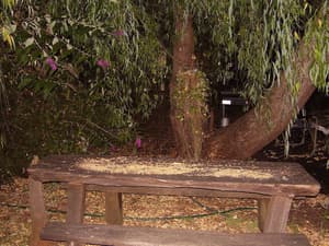 thumbnail: Property grounds