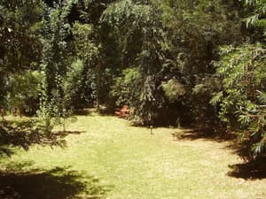 thumbnail: Property grounds