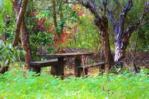 thumbnail: View from property