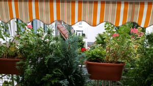 thumbnail: Balcony