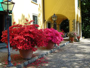 thumbnail: Exterior