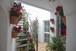 thumbnail: Terrace/patio