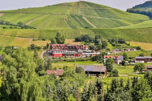 thumbnail: Winery