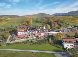 thumbnail: Winery