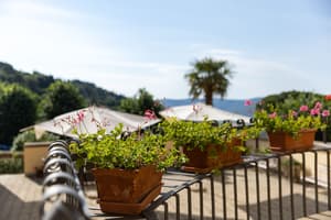 thumbnail: Terrace/patio