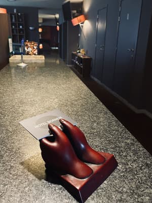 thumbnail: Reception