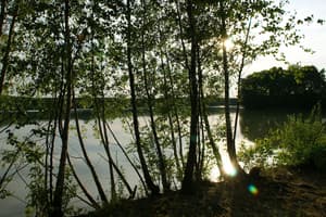 thumbnail: Lake