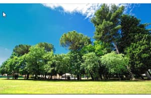 thumbnail: Property grounds
