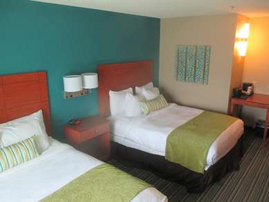 Guest Room,Indoor/Interior,On-Site
