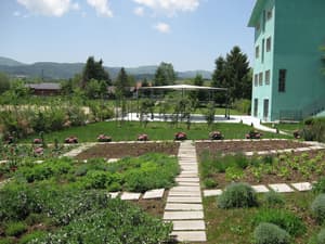 thumbnail: Garden