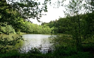 thumbnail: Lake