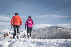 thumbnail: Snow and ski sports