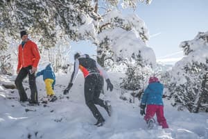 thumbnail: Snow and ski sports