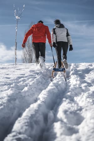 thumbnail: Snow and ski sports