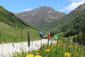 thumbnail: Hiking
