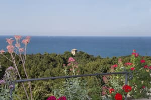 thumbnail: View from property