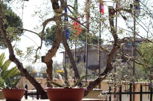 thumbnail: General view