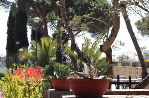 thumbnail: General view