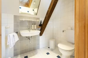 thumbnail: Primary image