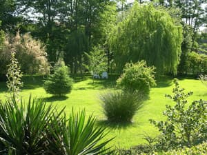 thumbnail: Garden