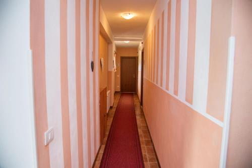 87073378.jpg