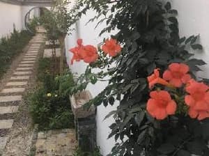thumbnail: 2521753560966436106ee149c427ea71.jpg