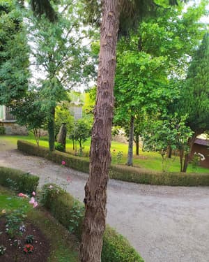 thumbnail: View from room
