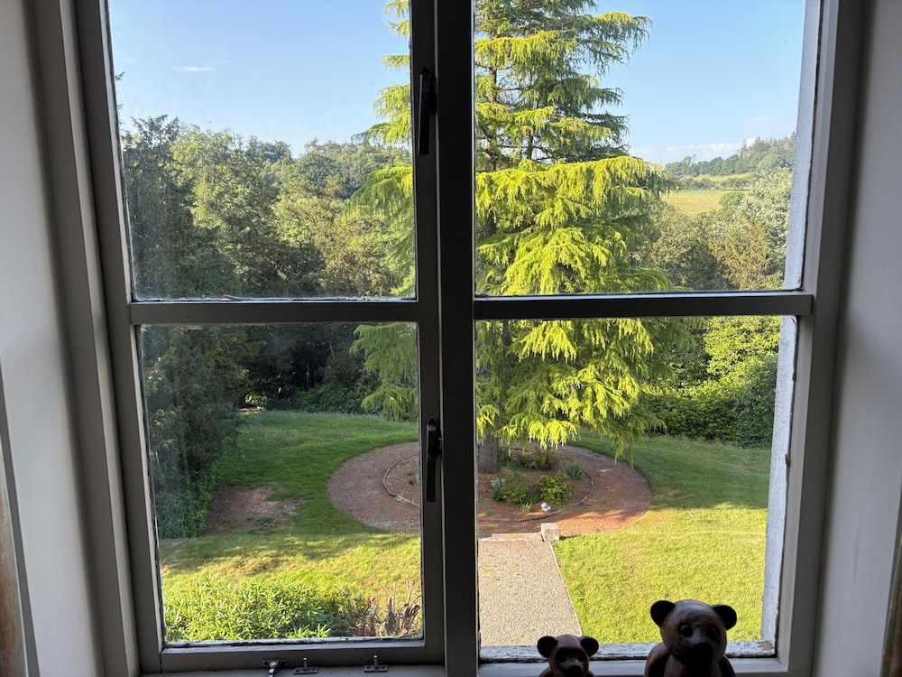 View from room