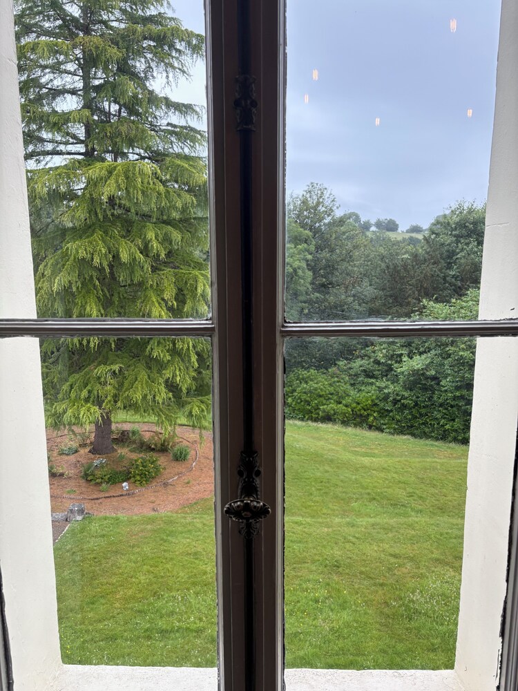 View from room
