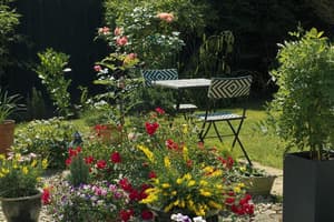 thumbnail: General view