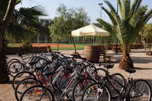 thumbnail: Bicycling