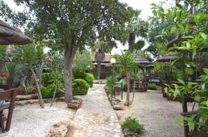thumbnail: Garden