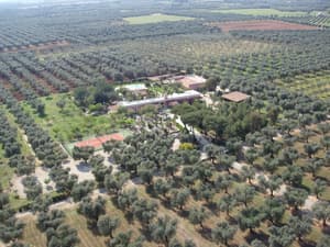 thumbnail: Aerial view