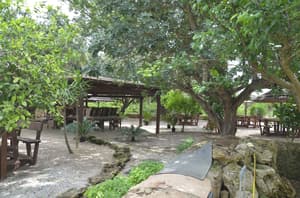 thumbnail: Garden