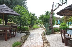 thumbnail: Garden