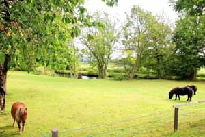 thumbnail: Property grounds