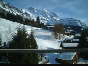 thumbnail: View from room