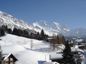 thumbnail: Snow and ski sports
