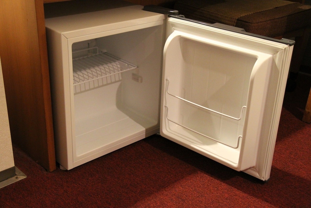 Mini-refrigerator